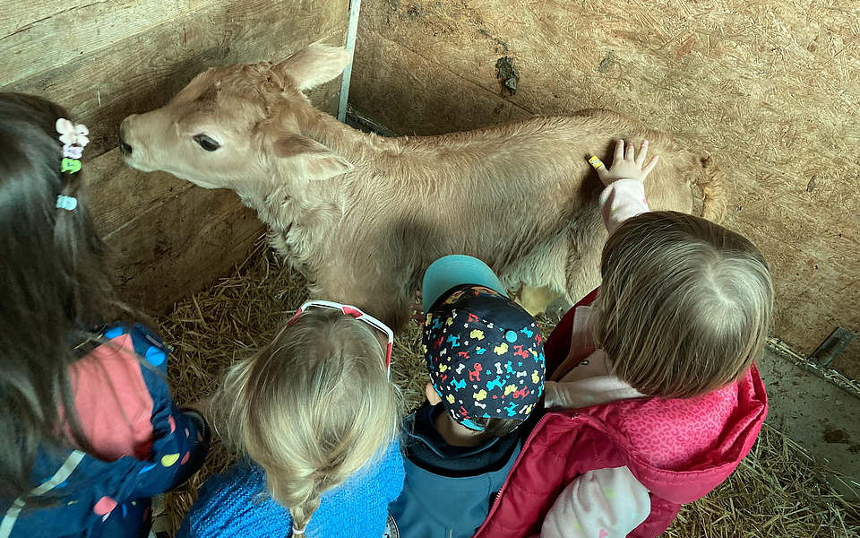 Erlebe Bauernhofspass auf dem Waidhof! Natur, Tiere und Abenteuer für Kids.